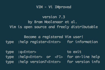 Vim 7.3